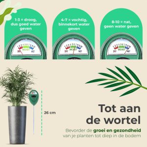 Sunny Tree - Humidimètre plantes - Hygromètre