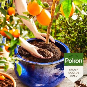 Pokon Bio Terreau méditerranéen - 30L